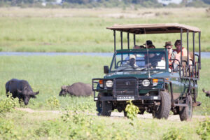 Safari Game Drive and Rhino Walk