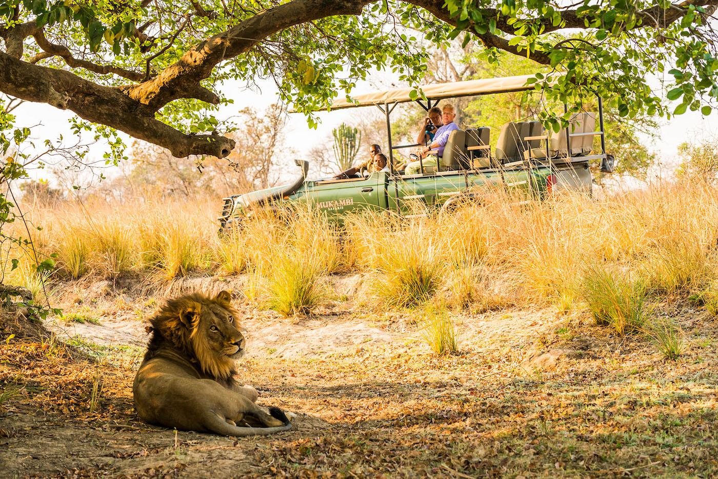 zambia safari months